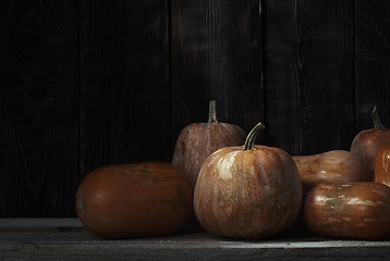 Image showing Stack of pumpkins after harvesting