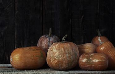 Image showing Stack of pumpkins after harvesting