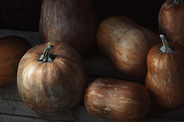 Image showing Group of pumpkins on a wooden table