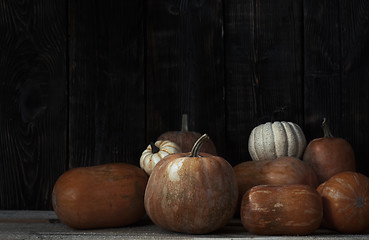 Image showing Stack of pumpkins after harvesting