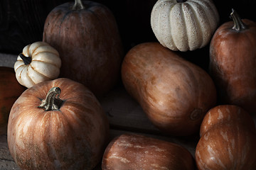 Image showing Group of pumpkins on a wooden table