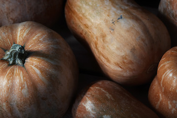 Image showing Stack of pumpkins on a wooden table