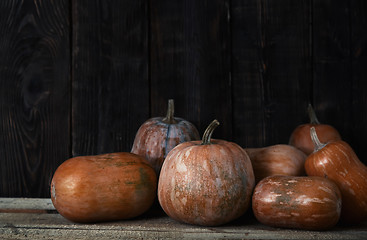 Image showing Stack of pumpkins after harvesting