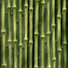 Image showing Bamboo plants