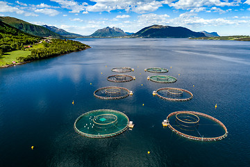 Image showing Farm salmon fishing Aerial FPV drone photography.