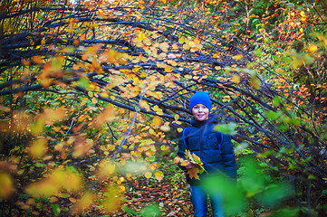 Image showing Beauty boy at autumn park