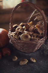 Image showing Different mushrooms in basket