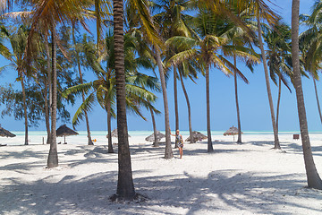 Image showing Perfect white sandy beach with palm trees, Paje, Zanzibar, Tanzania