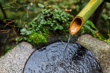 Image showing Japanese wooden ladle in shrine