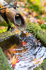 Image showing Traditional bamboo fountain