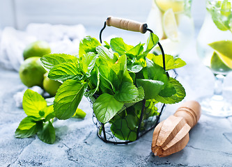 Image showing ingredients for mojito