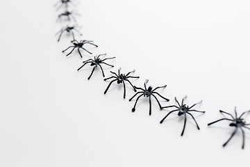 Image showing black toy spiders chain over white background