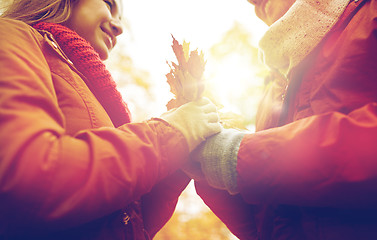 Image showing close up of happy couple with autumn maple leaves