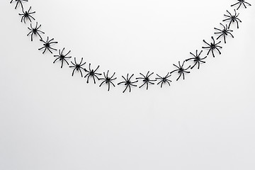 Image showing black toy spiders chain over white background