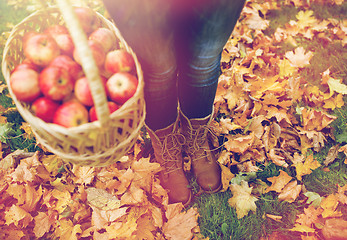 Image showing woman with basket of apples at autumn garden