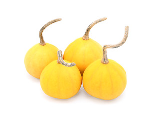 Image showing Four small yellow ornamental gourds