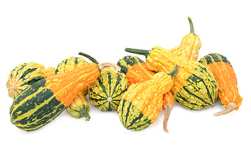 Image showing Assortment of orange, green and yellow ornamental gourds