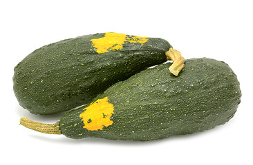 Image showing Two large marrow-shaped warty ornamental gourds
