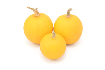 Image showing Three smooth-skinned orange ornamental gourds