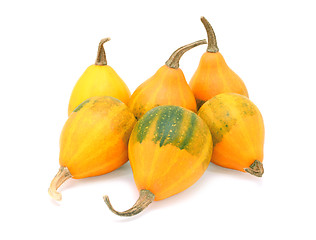 Image showing Group of six orange pear bicolor ornamental gourds