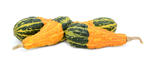 Image showing Four pear-shaped ornamental gourds with orange and green stripes