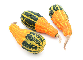 Image showing Three pear-shaped orange ornamental gourds with bold green bases