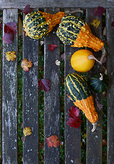 Image showing Ornamental gourds with fall leaves on a rustic bench