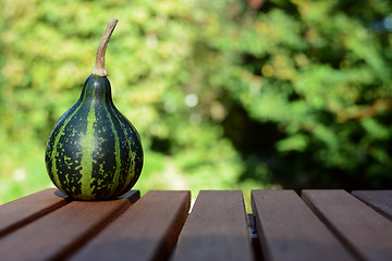 Image showing Green spinning ornamental gourd on wooden table 