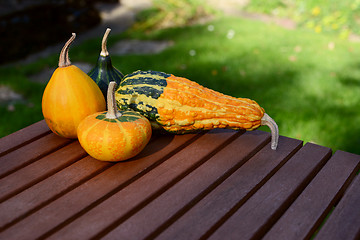 Image showing Assorted smooth and warty ornamental gourds on wooden table