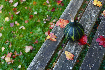 Image showing Green spinning gourd on a weathered wooden bench