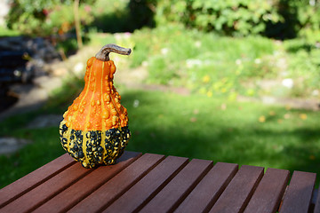 Image showing Warty orange and green ornamental gourd on wooden table