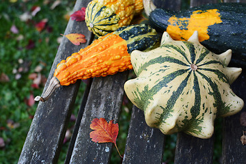 Image showing Four ornamental gourds with bright colours on a rustic bench