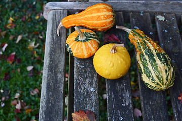 Image showing Assorted orange, green and yellow ornamental gourds on rustic be