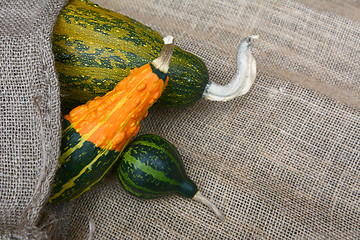 Image showing Striped orange and green gourds in different shapes
