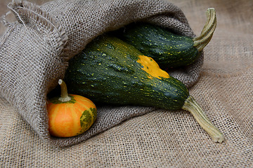 Image showing Small orange gourd with two large green warty squashes