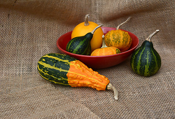 Image showing Red bowl of green and orange ornamental gourds