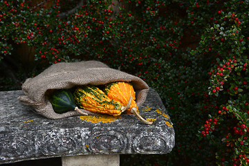 Image showing Three brightly coloured gourds in sack on a stone bench