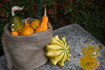 Image showing Hessian sack of ornamental gourds on a stone bench 