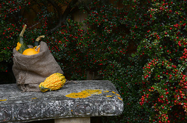 Image showing Stone bench with jute sack full of ornamental gourds