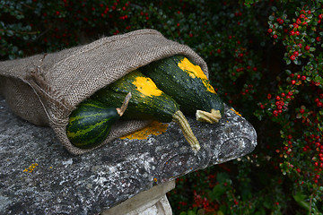 Image showing Three green ornamental gourds in a rough sack