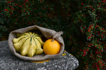 Image showing Sack with Crown of Thorns and orange gourds on bench
