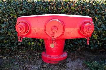 Image showing Fire Hydrant