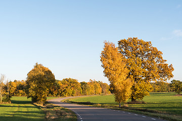 Image showing Winding road in a rural landscape by fall season