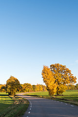 Image showing Beautiful country road by fall season