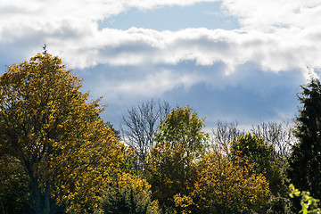 Image showing Fall season with dark clouds