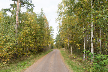 Image showing Gravel road in fall season colors