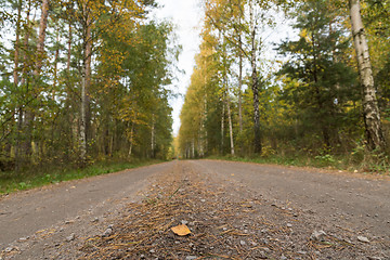 Image showing Low angle image of a gravel road