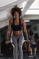Image showing black woman doing parallel bars Exercise
