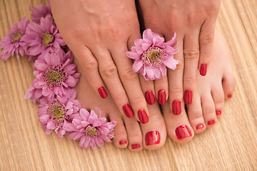 Image showing female feet and hands at spa salon