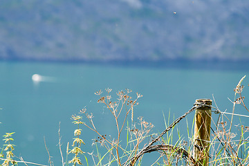 Image showing Old fence pale